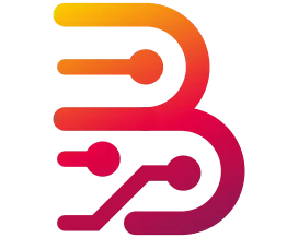 borneo-schematics-activation-2-user-6-months